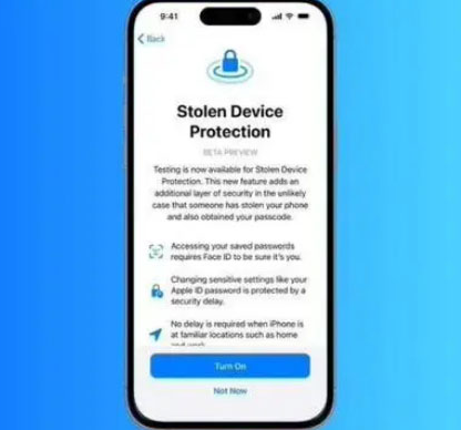 龙陵苹果授权维修店分享被盗设备保护功能开启方法 