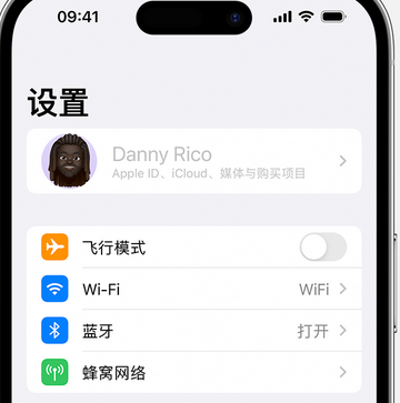 龙陵appleID维修服务iPhone设置中Apple ID显示为灰色无法使用 