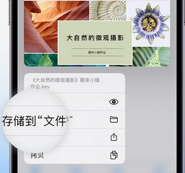 龙陵apple维修中心分享iPhone文件应用中存储和找到下载文件