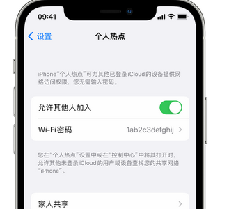 龙陵apple服务站点分享iPhone上个人热点丢失了怎么办