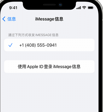 龙陵apple维修iPhone上无法正常发送iMessage信息 