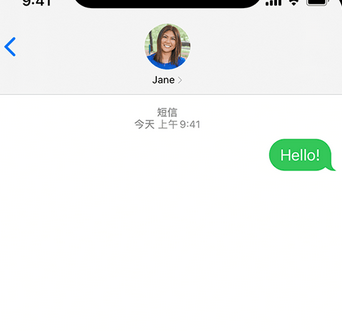 龙陵apple维修iPhone上无法正常发送iMessage信息