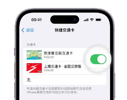 龙陵apple维修点分享iPhone上更换Apple Pay快捷交通卡手绘卡面 