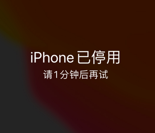 龙陵苹果手机维修分享:iPhone 显示“不可用”或“已停用”怎么办？还能保留数据吗？ 