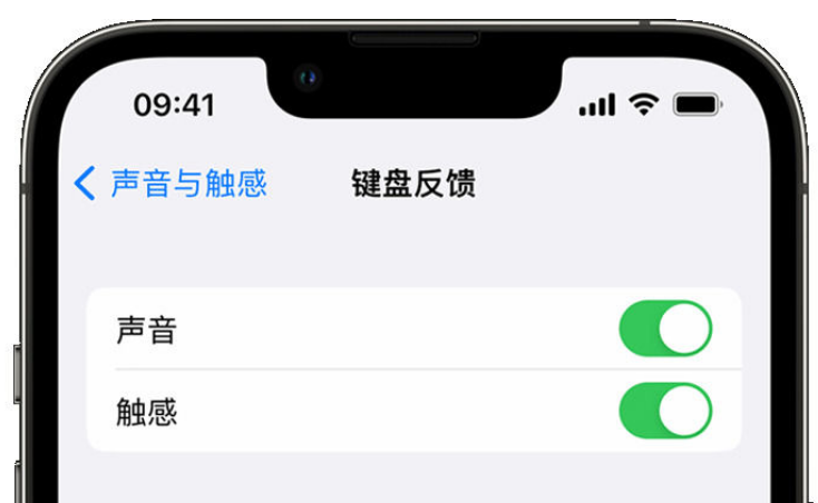 龙陵苹果手机维修分享iPhone 14触感键盘使用方法 