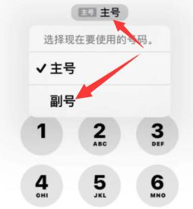 龙陵苹果14维修店分享iPhone 14 Pro Max使用副卡打电话的方法 