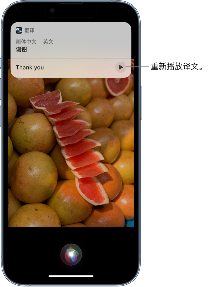 龙陵苹果14维修分享 iPhone 14 机型中使用 Siri：了解 Siri 能帮你做什么 