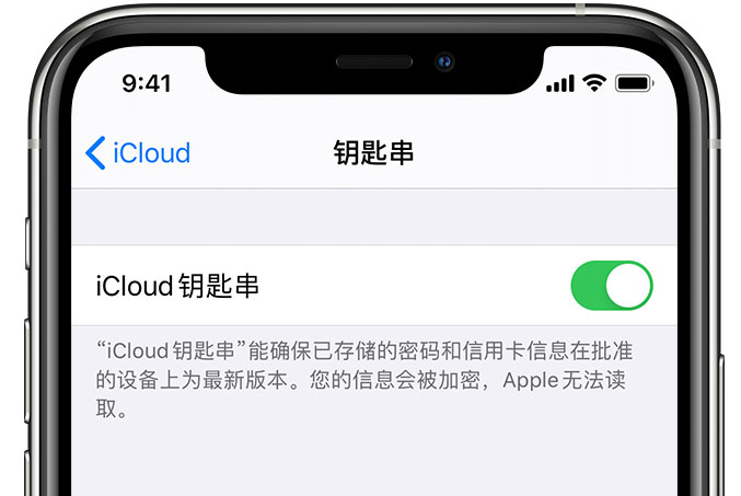 龙陵苹果手机维修分享在 iPhone 上开启 iCloud 钥匙串之后会储存哪些信息 