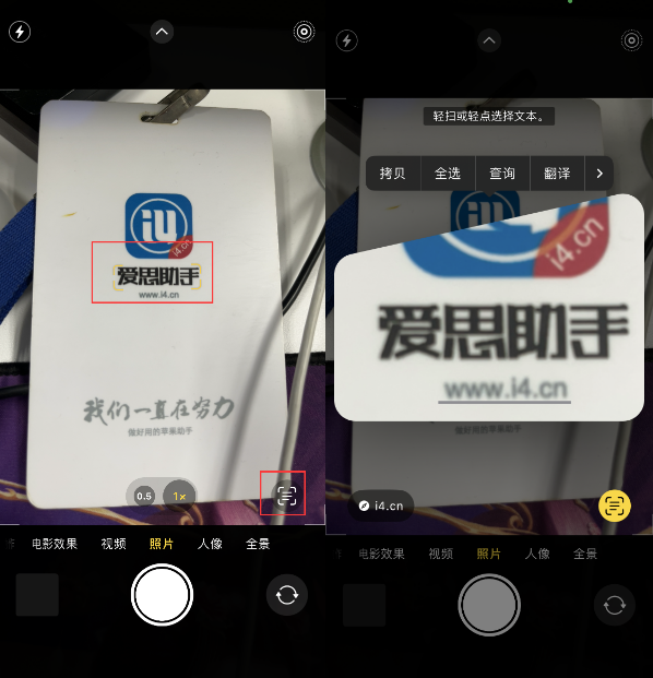 龙陵苹果手机维修分享升级iOS 16后如何通过相机翻译文本 
