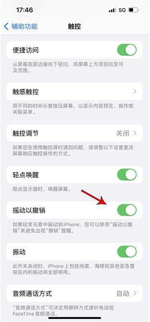 龙陵苹果手机维修分享iPhone手机如何设置摇一摇删除文字 