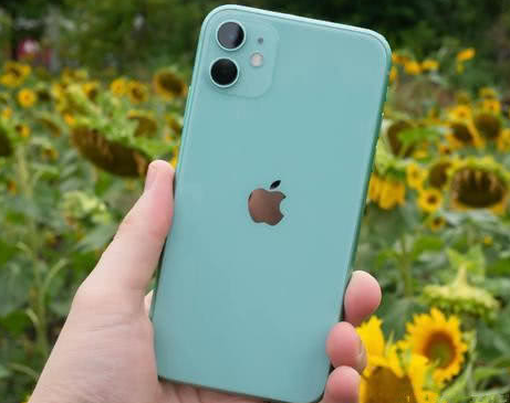 龙陵苹果维修点分享iPhone 11锁屏密码认知与使用科普 