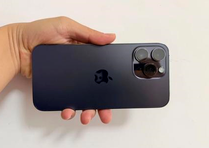 龙陵苹果维修点分享iPhone 14 Pro Max黑屏少见故障盘点 